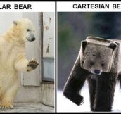 Cartesian bears are so cool…