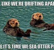 Otter breakup…