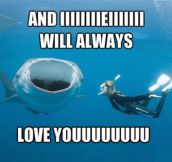 Whitney Houston whale shark…