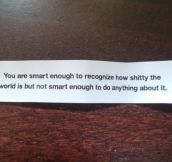 Reality described from a fortune cookie…