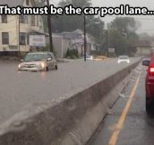 Car pool lane…