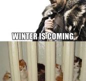 Brace yourselves kitties…