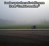 Zombie weather…