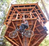 Bicycle Powered Tree House Elevator (8 Pics)