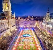 Brussels’ amazing flower festival…