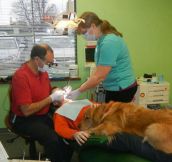 Dog helps little boy get over his fear at the dentist…