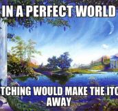 If the world was perfect…