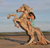 Driftwood horse…