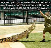 Next time you go to the zoo…