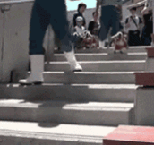 Penguin ambassadors dealing with stairs…