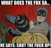 What the fox says…