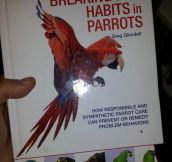 Stop your parrot’s bad habits…