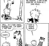 As a kid, I learned a lot about the world from Calvin and Hobbes…