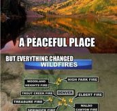 Colorado has changed…