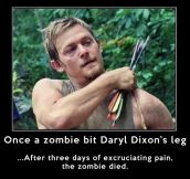Daryl Dixon vs. any zombie…