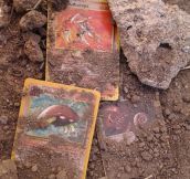 Strange fossils found…