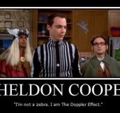 Doppler Sheldon Cooper…