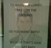 That’s how you get ants…