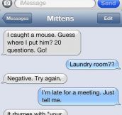 Text messages from a cat…