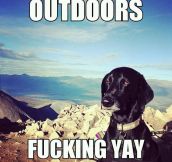 When I’m told to spend more time outdoors…