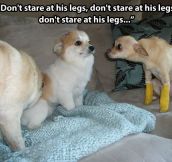 Don’t stare at his legs…