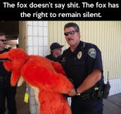 What the fox said…