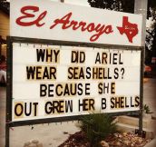 The reason Ariel wore seashells…