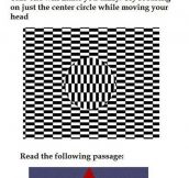 I heard you liked optical illusions…