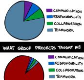 What group projects really taught me…