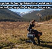 Not the best way to end your marriage proposal…