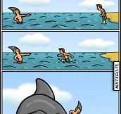 Never trust sharks…