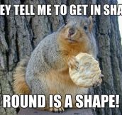 Fitness squirrel…