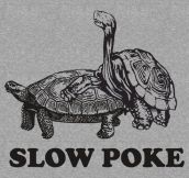 Very slow poke…