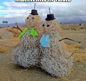 There are snowmen in Texas too
