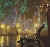 Christmas lights in the fog…
