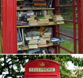 Red telephone boxes turned into mini libraries…