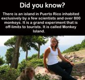 Monkey Island…