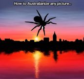 Quickest way to Australianize any picture…