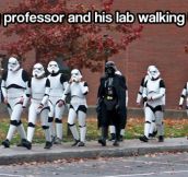My professor and his lab…