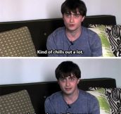 So what does Harry Potter do now…