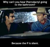 Pterodactyl sounds…