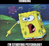 As a psychology student…