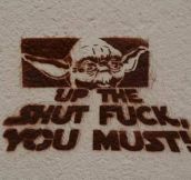 Yoda tells it like it is…
