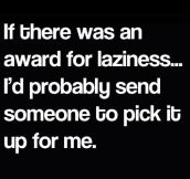Award for laziness…
