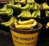 Single bananas…