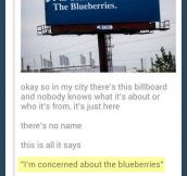 Concerned about the blueberries…
