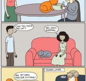 Cat people have a very particular behavior…