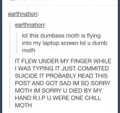 You were one chill moth…