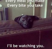 The love song from every dog ever…