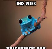 The frog has a point…